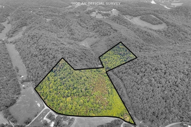 0 Hurrican Branch Rd, Gainesboro, TN 38562