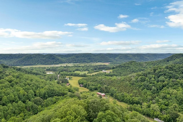 0 Hurrican Branch Rd, Gainesboro, TN 38562