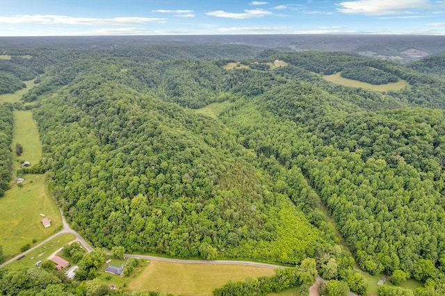 0 Hurrican Branch Rd, Gainesboro, TN 38562