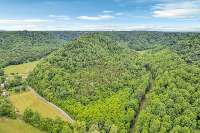 0 Hurrican Branch Rd, Gainesboro, TN 38562