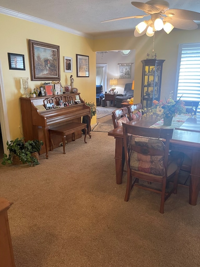 115 Black Oak Ln, Byrdstown, TN 38549 - photo 6