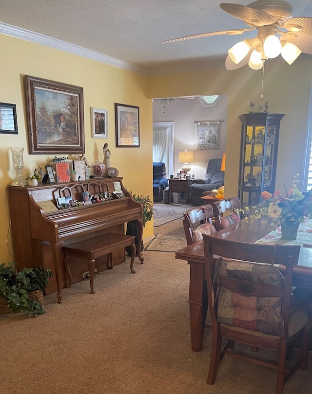 115 Black Oak Ln, Byrdstown, TN 38549 - photo 17
