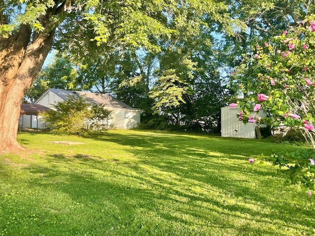 446 W Stevens St, Cookeville, TN 38501 - photo 4