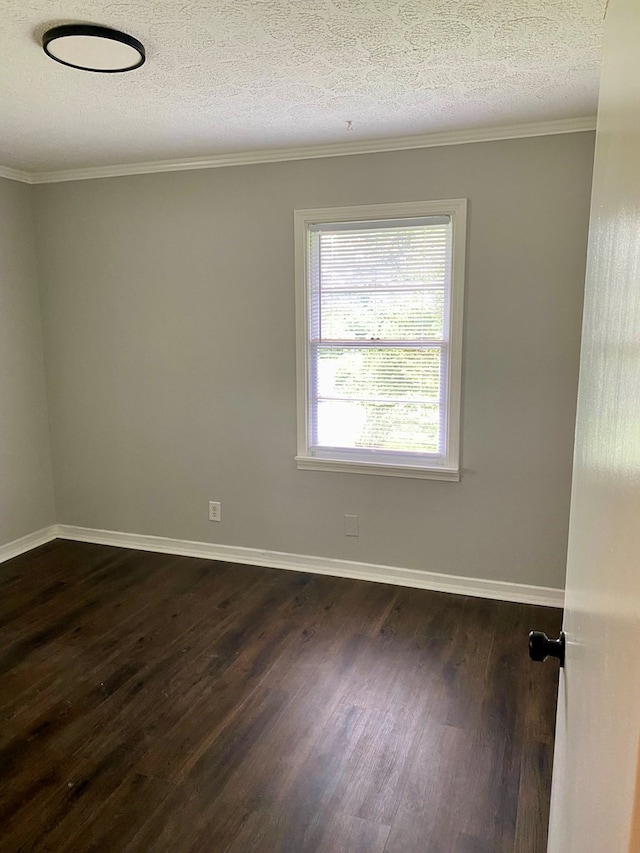 446 W Stevens St, Cookeville, TN 38501 - photo 12