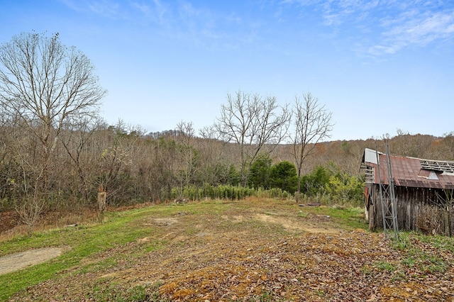 view of yard featuring a rural view