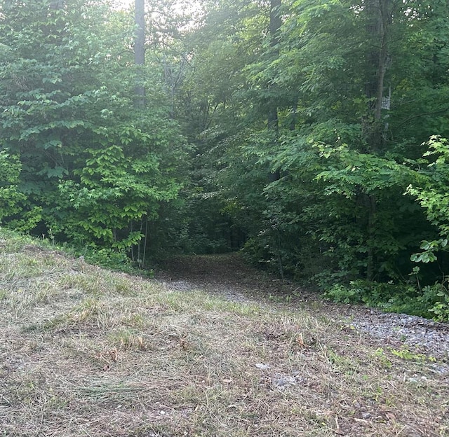 Listing photo 3 for LOT52 W Bobcat Ln, Wilder TN 38589