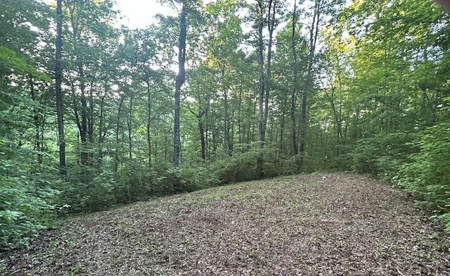 LOT52 W Bobcat Ln, Wilder TN, 38589 land for sale