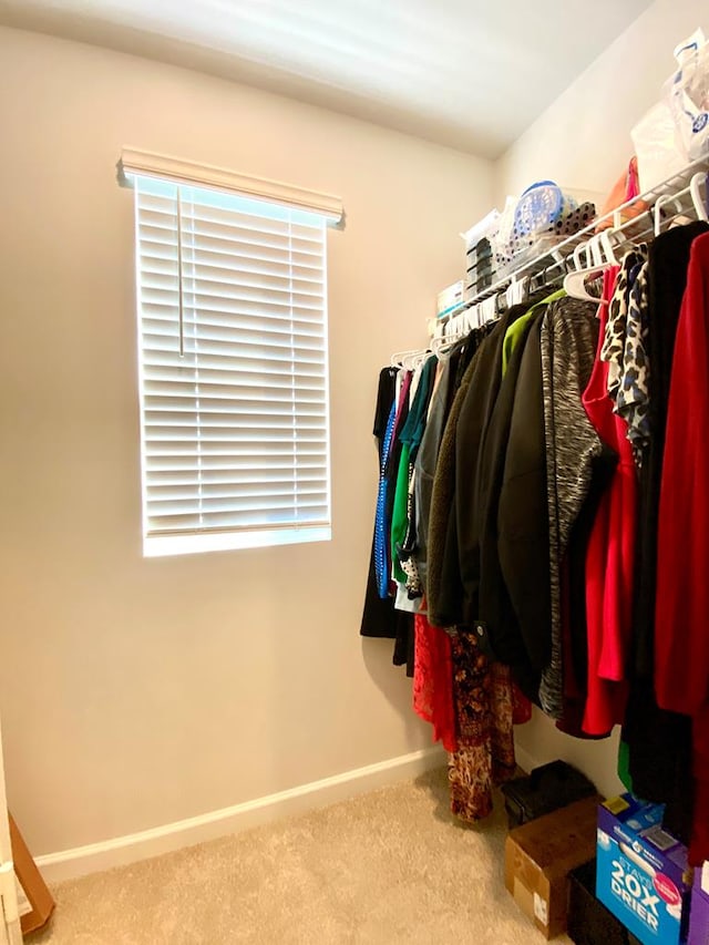 walk in closet with carpet