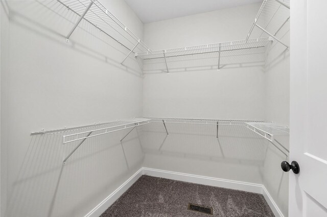 walk in closet featuring carpet floors and visible vents