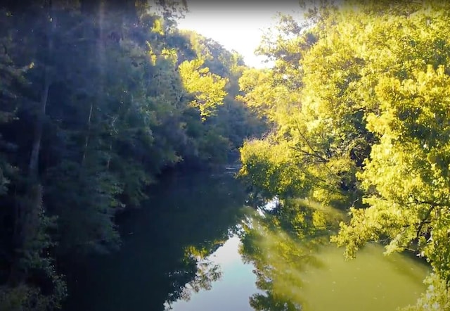 birds eye view of property with a water view and a view of trees