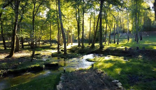 view of nature featuring a view of trees