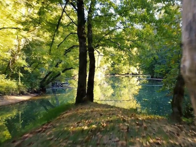 water view featuring a view of trees