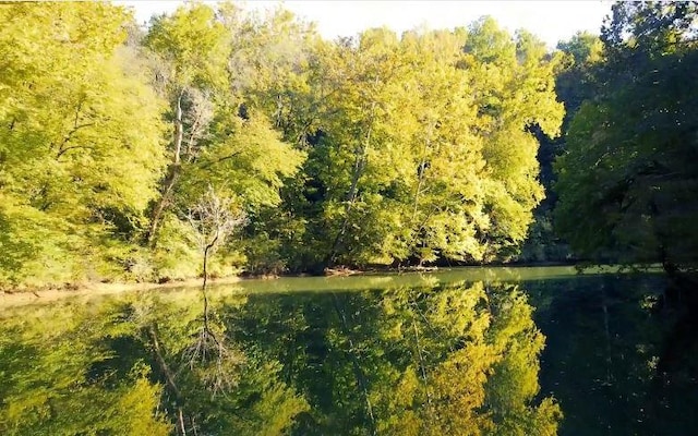 drone / aerial view with a water view and a wooded view