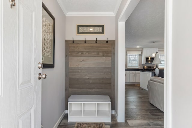 mudroom featuring baseboards, a textured ceiling, dark wood finished floors, and ornamental molding