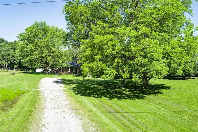 view of yard with driveway