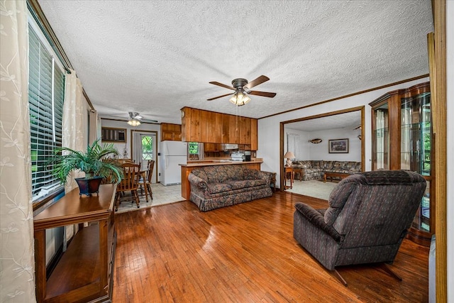 living area with a ceiling fan, ornamental molding, a textured ceiling, and wood finished floors