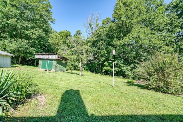 view of yard with an outdoor structure and a storage shed