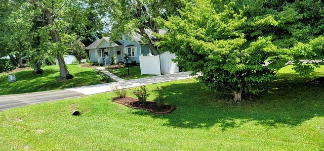 view of yard with driveway