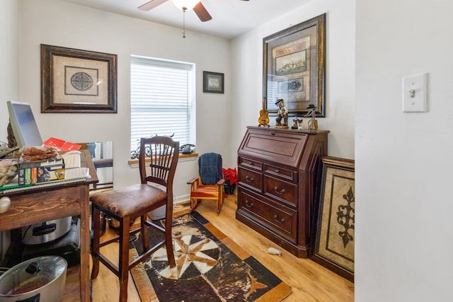 office featuring ceiling fan and light wood finished floors