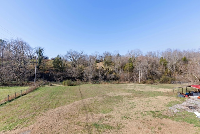 view of yard with a rural view