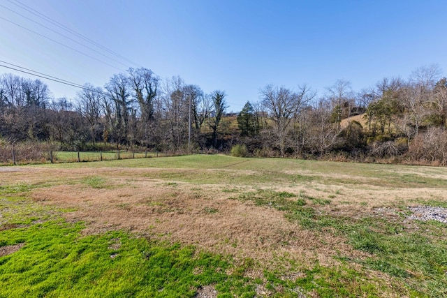 view of yard with a rural view