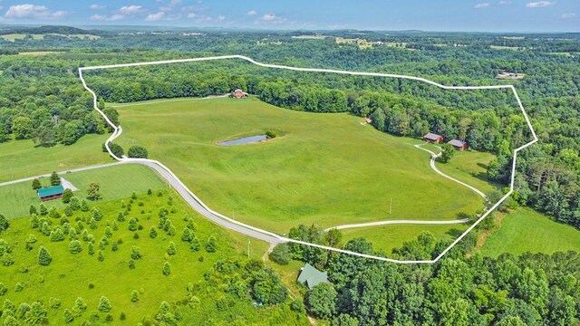 bird's eye view with a forest view