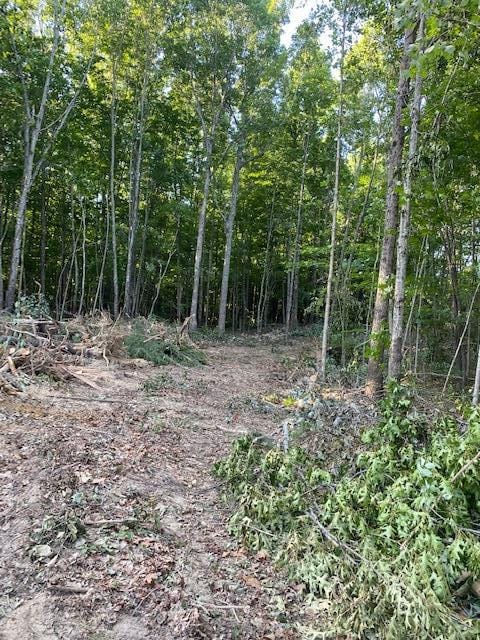 na Veterans Lookout, Wilder TN, 38589 land for sale