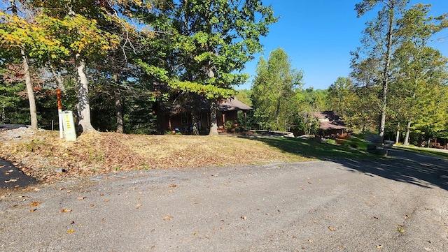 view of street featuring aphalt driveway