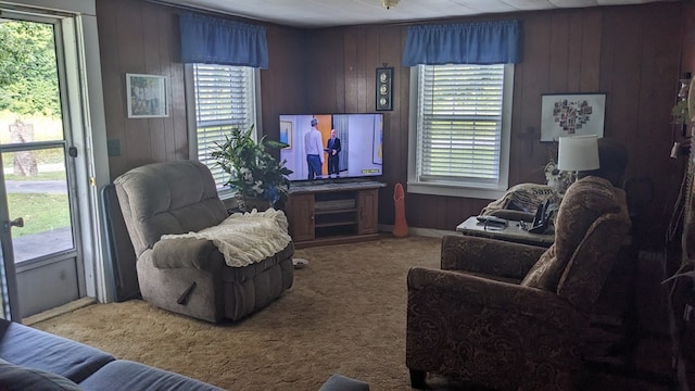 living area with carpet flooring and wood walls