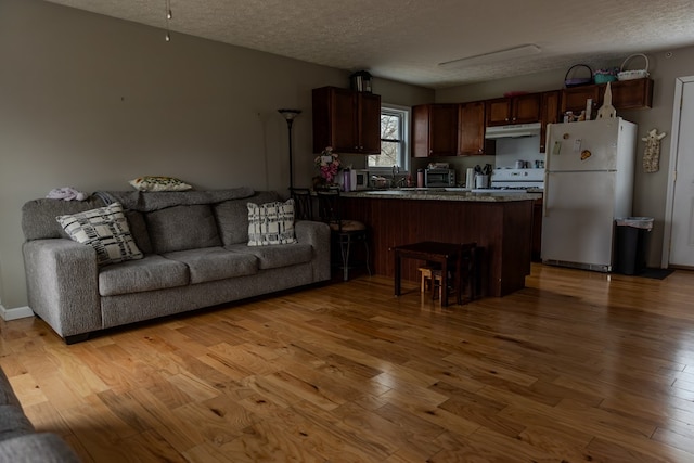 living room featuring light wood-type flooring and a textured ceiling