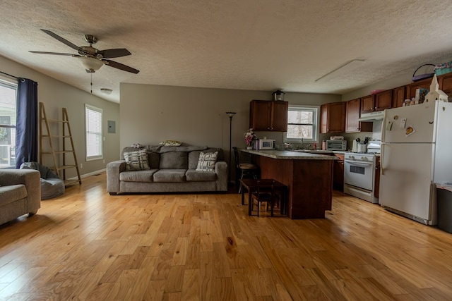 kitchen with open floor plan, white appliances, light wood-style flooring, and under cabinet range hood