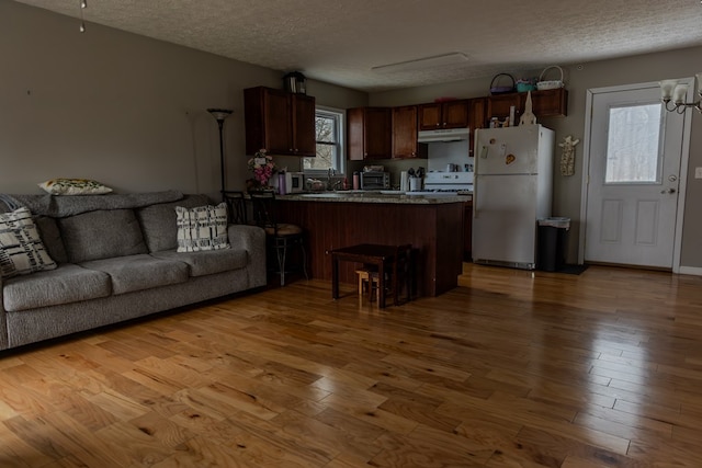 living room with a toaster, a textured ceiling, and wood finished floors