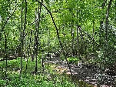 Listing photo 3 for LOT11 Camp Creek Rd, Spencer TN 38585