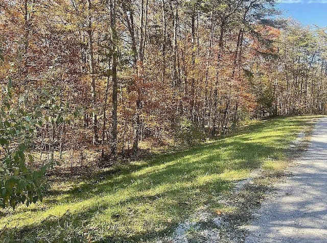 LOT11 Camp Creek Rd, Spencer TN, 38585 land for sale