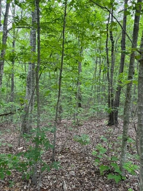 Listing photo 2 for LOT91 Buckeye Ln, Wilder TN 38589