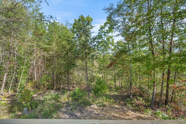 view of nature featuring a wooded view