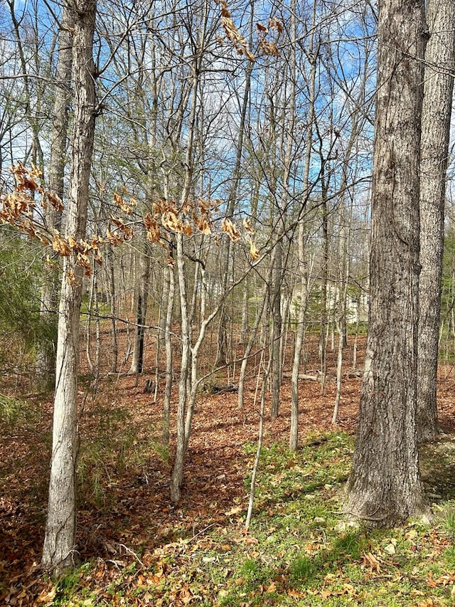 Listing photo 3 for 105 Kings Ln, Crossville TN 38558