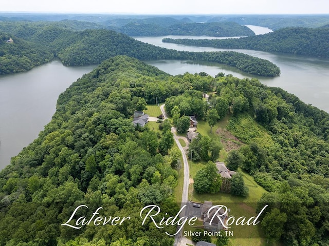 1ACRE Lafever Ridge Rd, Silver Point TN, 38582 land for sale