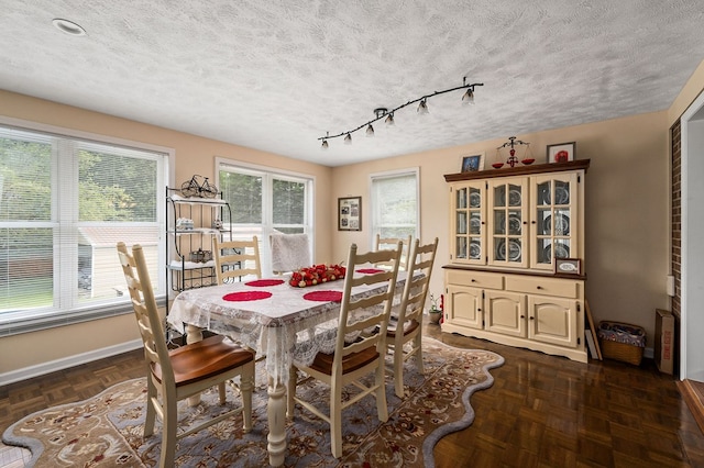 dining room with a textured ceiling, baseboards, rail lighting, and a healthy amount of sunlight