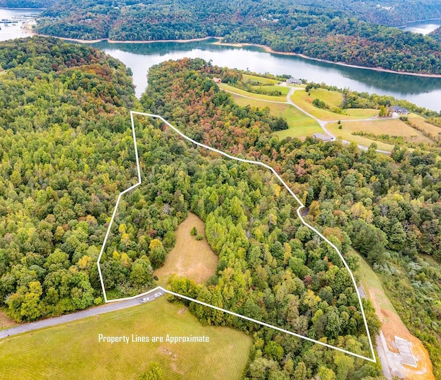 LOT79 Holly Bnd, Preserve, Byrdstown TN, 38549 land for sale