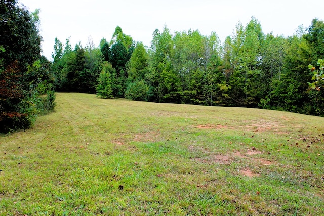 Listing photo 3 for LOT79 Holly Bnd, Preserve, Byrdstown TN 38549