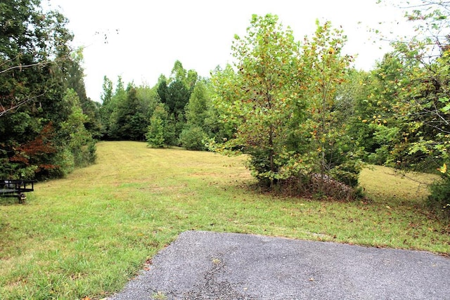 Listing photo 2 for LOT79 Holly Bnd, Preserve, Byrdstown TN 38549