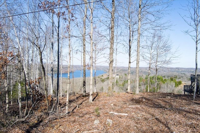 LOT24 Lillydale Rd, Byrdstown TN, 38549 land for sale