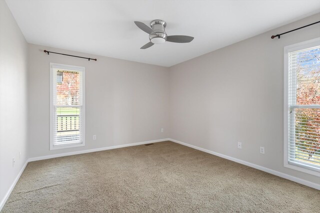 spare room featuring carpet, a healthy amount of sunlight, and baseboards