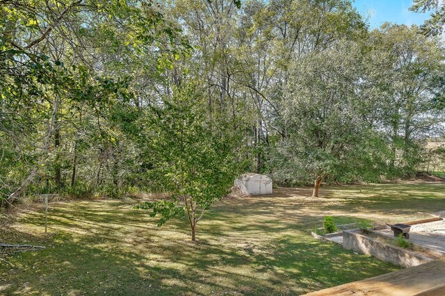 view of yard featuring a storage shed, an outdoor structure, and a vegetable garden