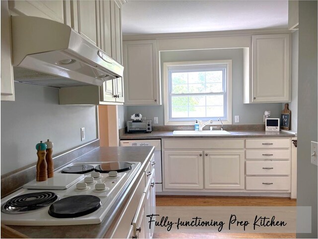 kitchen with white electric cooktop, under cabinet range hood, white cabinets, and a sink