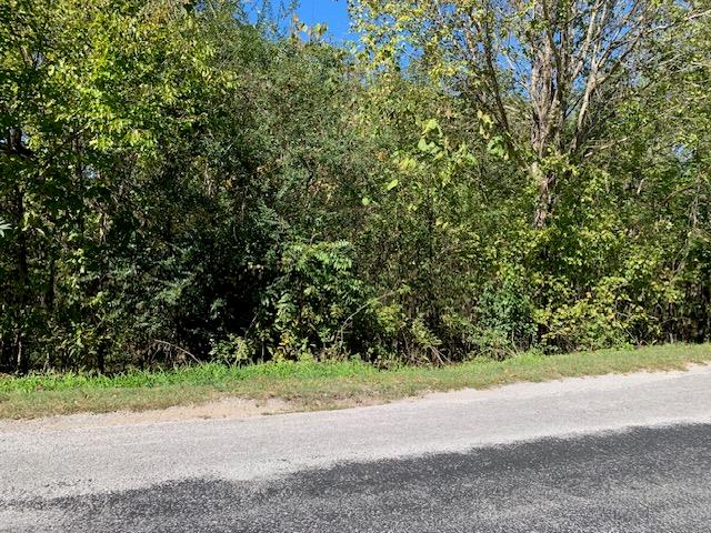 00 Coconut Ridge Rd, Smithville TN, 37166 land for sale