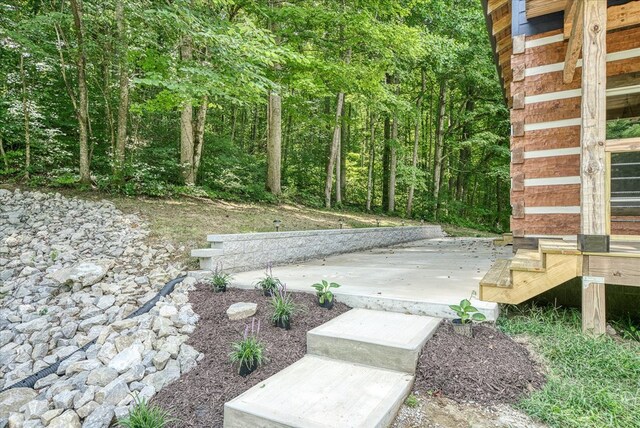 view of yard with a patio area