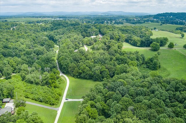 aerial view with a view of trees