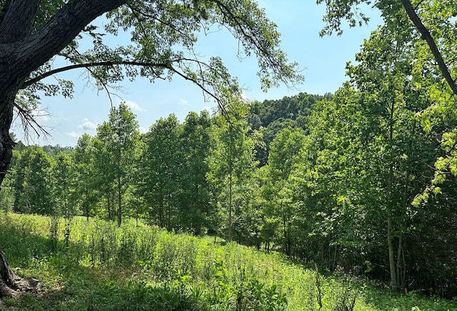 view of local wilderness with a wooded view